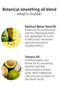 Aveda Smooth Infusion Perfect Blow Dry