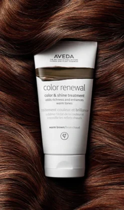 Aveda Color Renewal Color & Shine Treatment -Beauty-Aveda av prod 102748 355x600 4