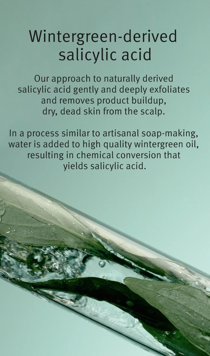 Aveda Scalp Solutions Exfoliating Scalp Treatment 2 Aveda Scalp Solutions Exfoliating Scalp Treatment - Image 2