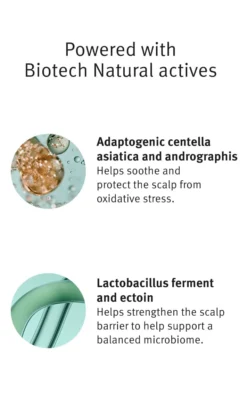 Aveda Scalp Solutions Refreshing Protective Mist -Beauty-Aveda av prod 112271 355x600 6