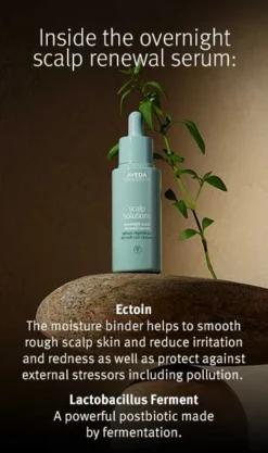 Aveda Scalp Solutions Overnight Scalp Renewal Serum -Beauty-Aveda av prod 112273 355x600 5