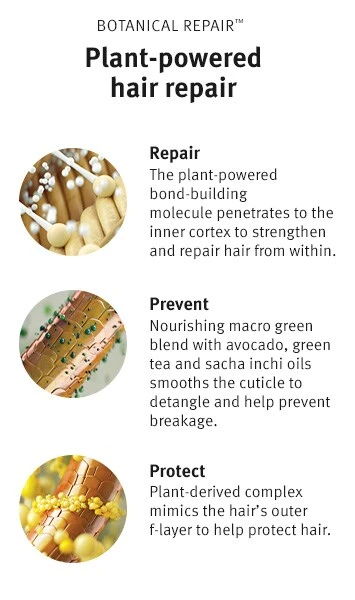 Aveda Botanical Repair Strengthening Trio Light 7 Aveda Botanical Repair Strengthening Trio Light - Image 7