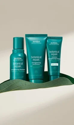 Aveda Botanical Repair Strengthening Trio Light 17 Aveda Botanical Repair Strengthening Trio Light -Beauty-Aveda av prod 80719 355x600 7