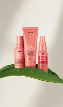 Aveda Nutriplenish Light Moisture Trio -Beauty-Aveda av prod 86146 355x600 8