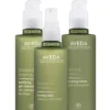Aveda Botanical Kinetics Daily Care For Oily/normal Skin Set