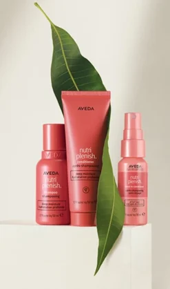 Aveda Nutriplenish™ Deep Moisture Trio 21 Aveda Nutriplenish™ Deep Moisture Trio -Beauty-Aveda https3A2F2Fwww.aveda .ca2Fmedia2Fimages2Fproducts2F355x6002Fwhite2Fav prod 86228 355x600 9.jpg 640x